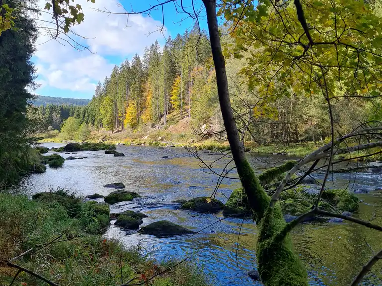 Laufreise im Bayerischen Wald